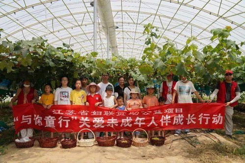 農業(yè)技術新突破 奇特葡萄品種的首次亮相