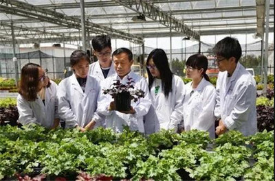 扎根濰坊大地，助力‘三農’發展 濰坊職業學院的農業技術研究實踐