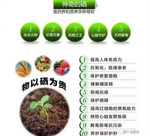 九溪九香 以富硒技術(shù)引領(lǐng)特色農(nóng)業(yè)發(fā)展，推動現(xiàn)代農(nóng)業(yè)高質(zhì)量轉(zhuǎn)型